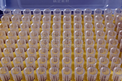 微型移液管的尖端放在黄色塑料架上