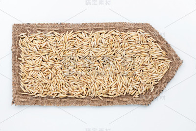 用粗麻布和燕麦粒制成的箭。