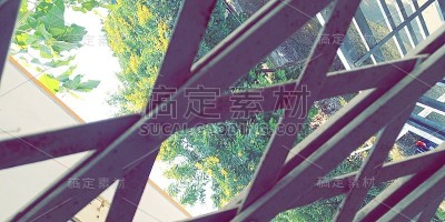 在家看风景