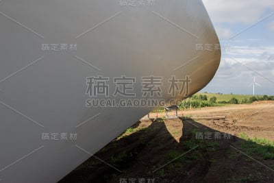 大叶