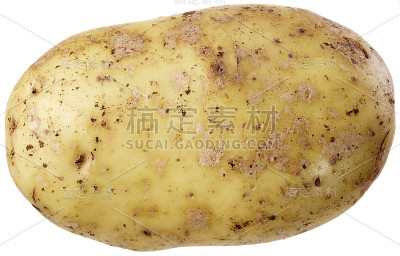 小土豆，细节丰富，没有阴影