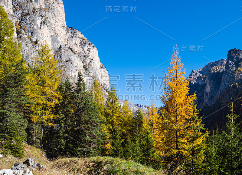 秋天高山白云石岩山景色，苏迪罗尔，意大利。在Groden, Selva di Val Gardena