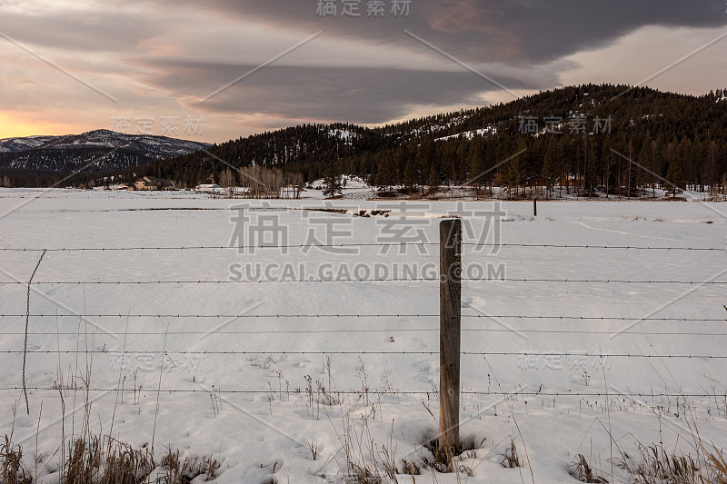 阴天的早晨，孤独的篱笆，白雪覆盖的牧场，树木覆盖的山峰