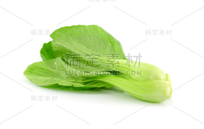 小白菜(白菜)孤立在白色上