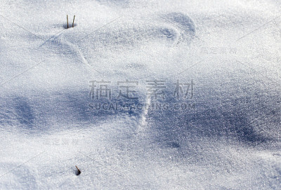 以大自然中的雪为背景