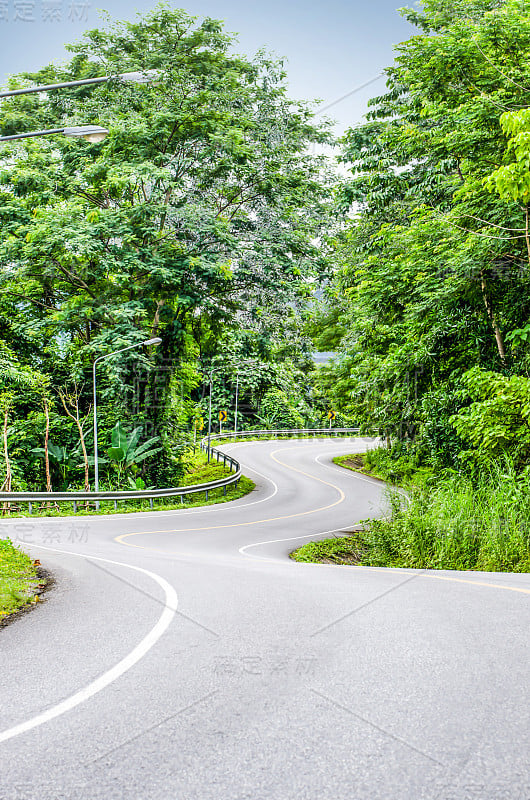 蛇弯曲的道路