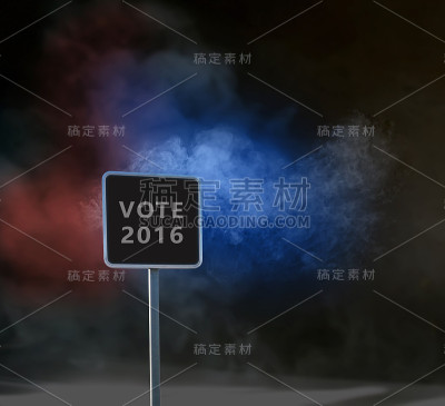 2016年美国大选