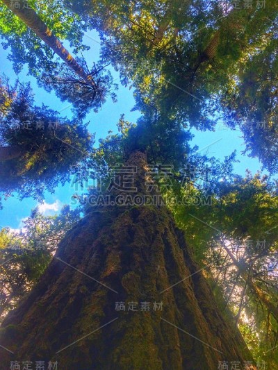 回顾过去
