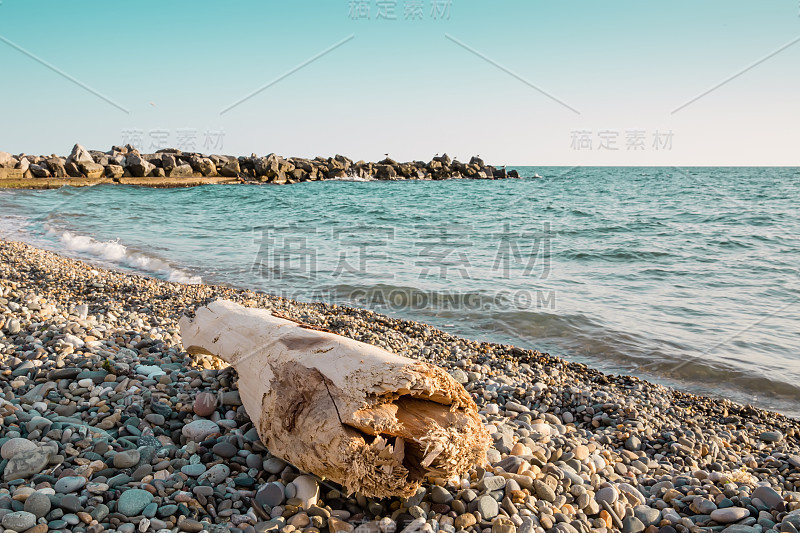 岩石海滩上的木头