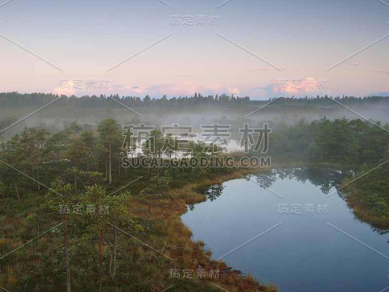 塞里沼泽景观，黎明