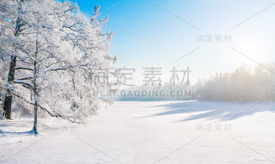 雪中的冬季公园