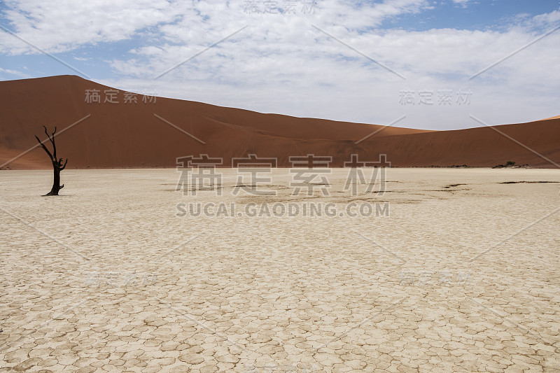 纳米比亚Sossusvlei, Deadvlei的孤独树