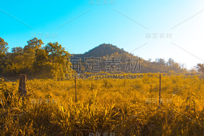 乡村景色，宁静的景色