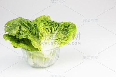 新鲜的生菜叶子