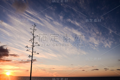 天空中的云