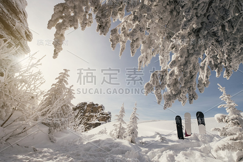 两块滑雪板伫立在积雪覆盖的森林和悬崖上的雪粉中，在阳光明媚的日子里免费乘坐