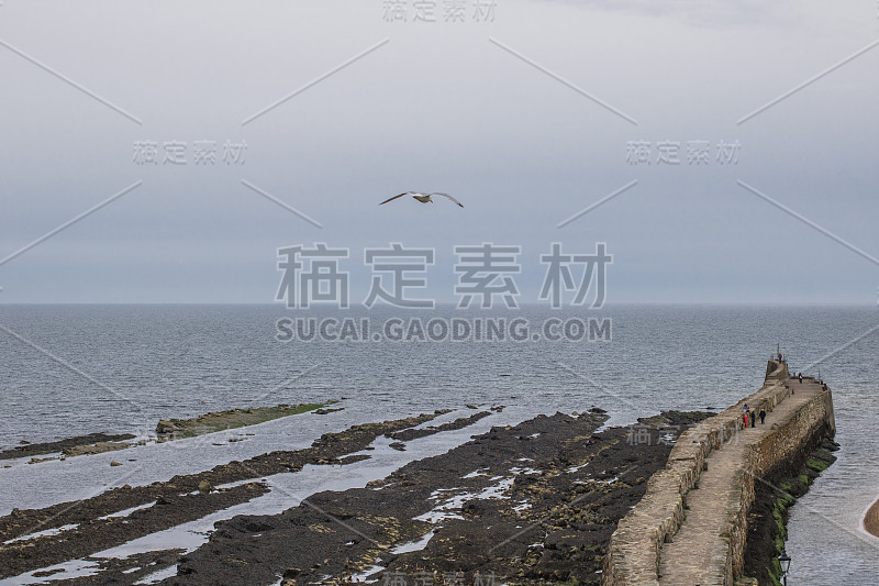 海鸥在小围堤上飞离港口