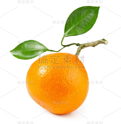 橘红色或小柑橘，绿叶孤立在白色背景上