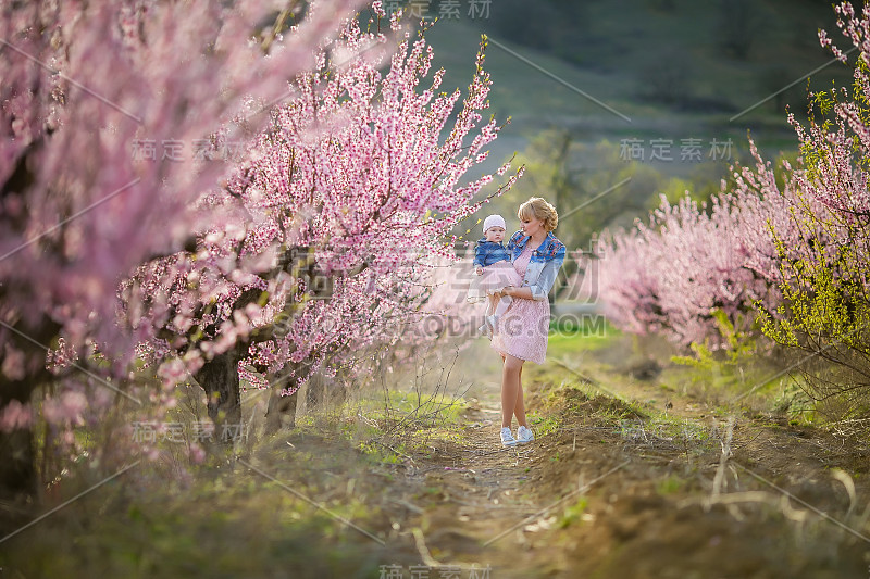 全家福妈妈和一个婴儿在粉红色的夹克和粉红色的裙子在一个桃园开花树的背景