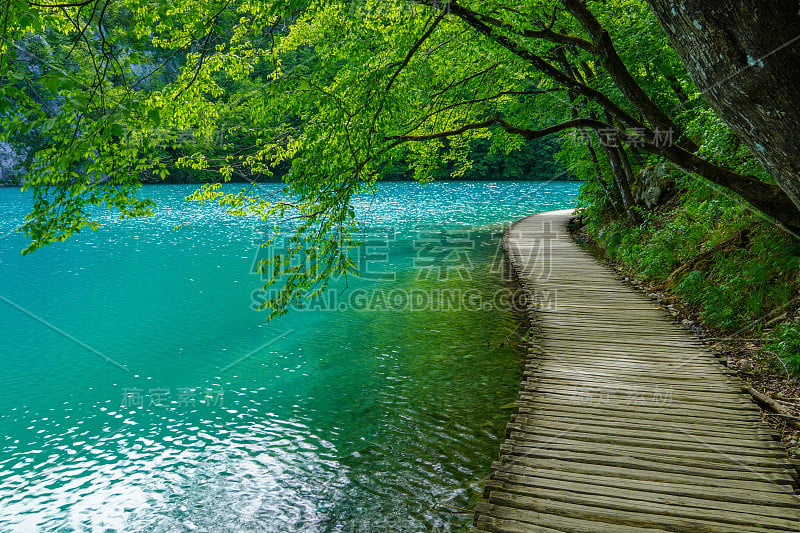 令人惊叹的旅游木步道，在风景如画的森林深处，清澈的湖泊，Plitvice国家公园，克罗地亚，欧洲