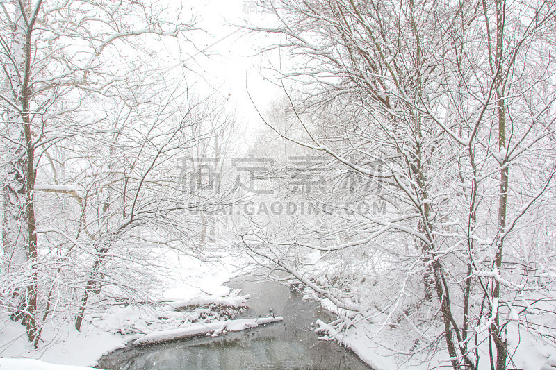 印地安那州霍华德县河边的冬季风景树