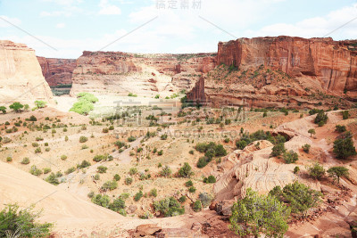 美国内华达州切利峡谷的春景