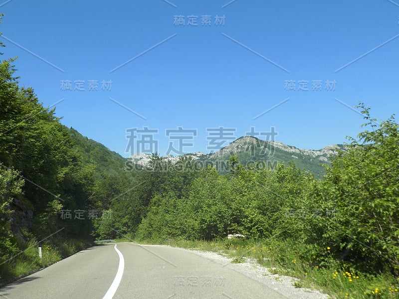 穿越森林的公路旅行