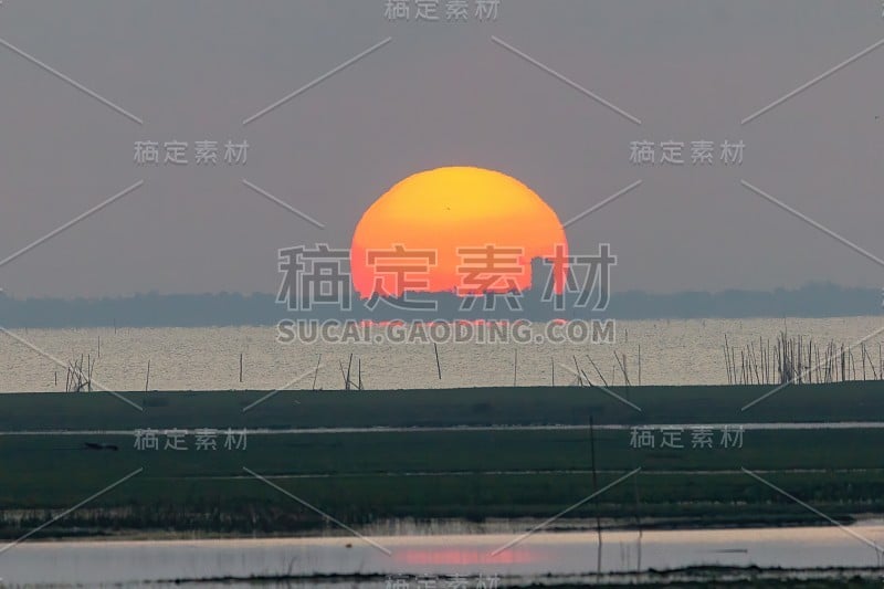 大的日出是橙色的。日出的海面和红树林