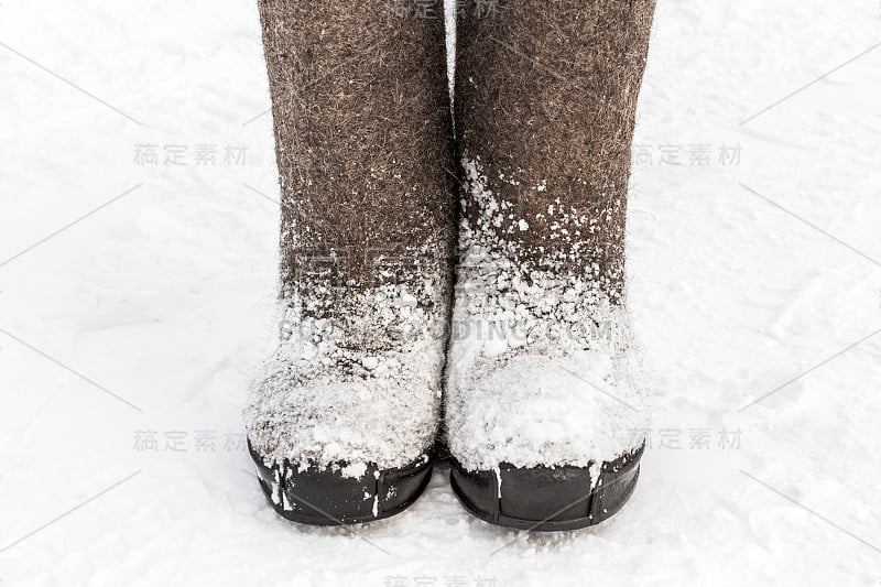 冬天在雪地里摸靴子