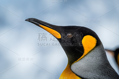 在