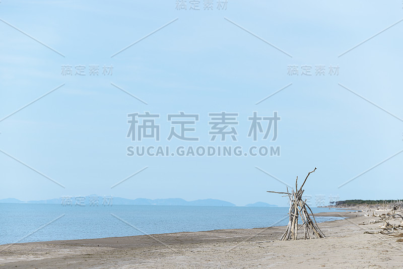 近海岸沼泽地公园海滩