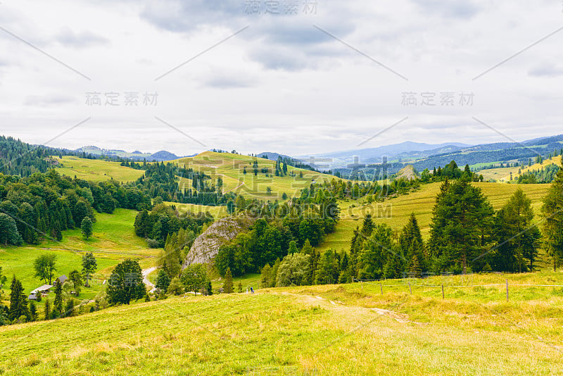 比亚拉沃达保护区的小松树林景观-从山口看