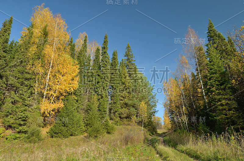 秋天，天空森林草甸山，秋天