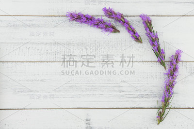 紫罗兰花在白色的木材背景与复制空间