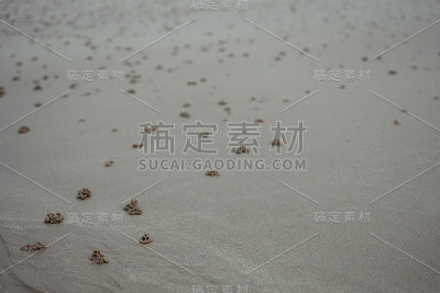 d’Erquy海滩