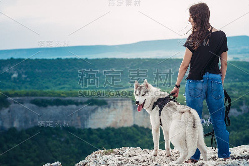 日落时分，美丽的女孩和一只灰白相间的哈士奇在山里玩耍