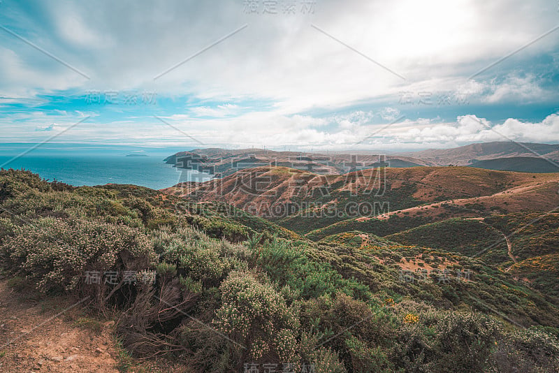 惠灵顿乡村的自然景观-马卡拉