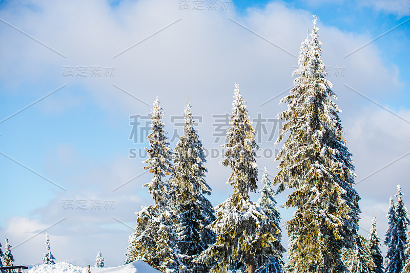 冬天的风景