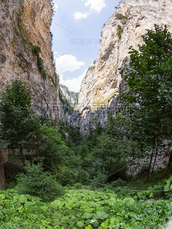 Rhodope山脉的峡谷，在阳光明媚的夏天，大量的落叶和常绿森林