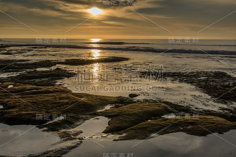 Diverse Beauty Graces the California Coast