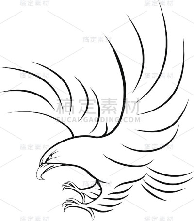 鹰