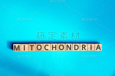 线粒体刻有木方