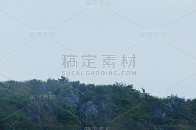 ็戈拉尔站在山上