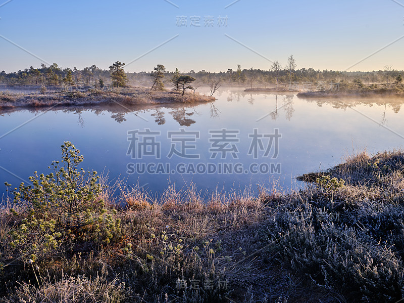 雾气蒙蒙的秋天早晨，沼泽湖，背景是森林