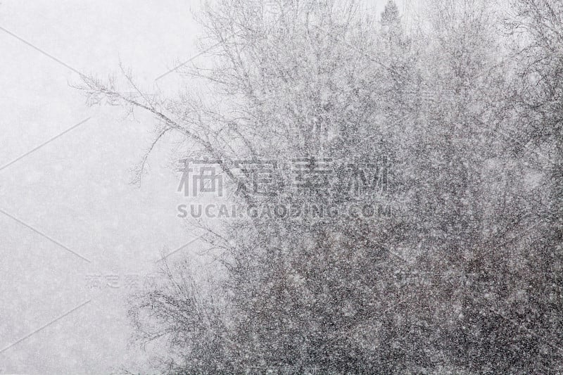 比特鲁特河上的大雪