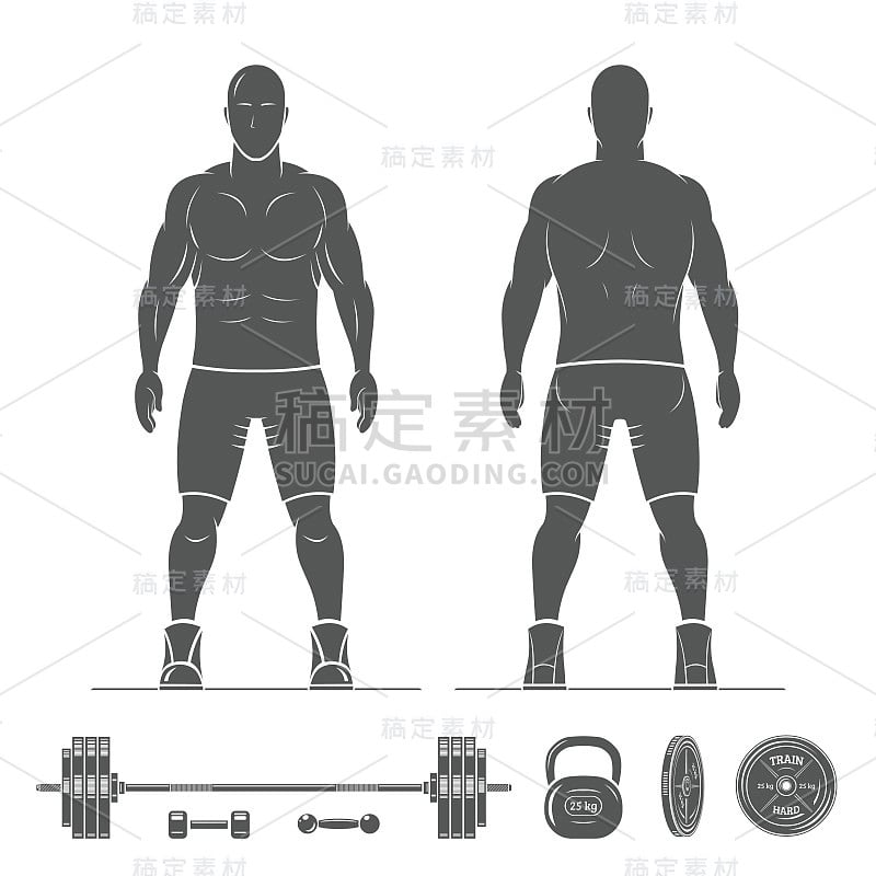 从正面和背面解剖的人剪影视图。运动器材。