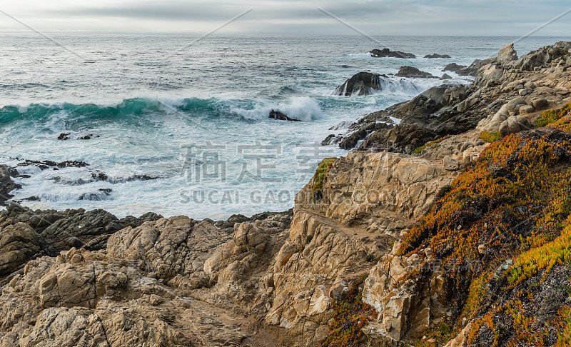 Diverse Beauty Graces the California Coast