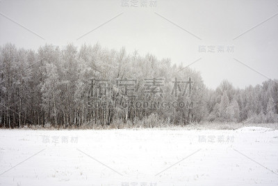 西伯利亚白雪覆盖的童话森林
