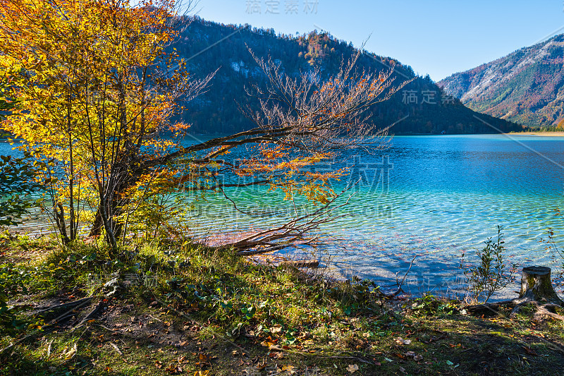 宁静的秋天阿尔卑斯山山湖奥芬西湖，萨尔兹卡默古特，上奥地利。