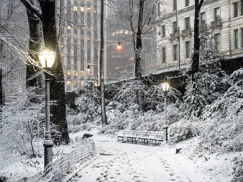 纽约中央公园的暴风雪